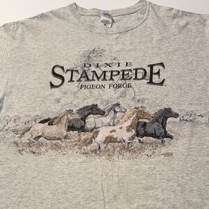 Gray Dixie Stampede Graphic‎ Tee Anvil Tag